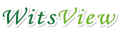 witsview