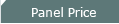 panel price